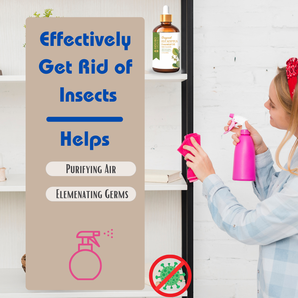 Premium & Pure Eucalyptus Essential Oil - Natural Aromatherapy for Relaxation and Wellness