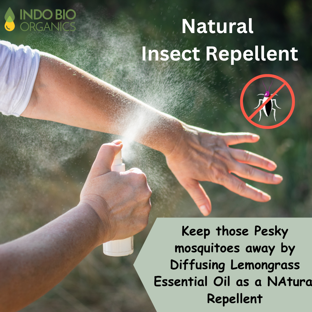 Premium & Pure Lemongrass Essential Oil - 100% Natural, Therapeutic Grade Aromatherapy Oil