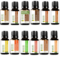 AUTUMN SPICE COLLECTION (PREMIUM SET OF 12x15ML)