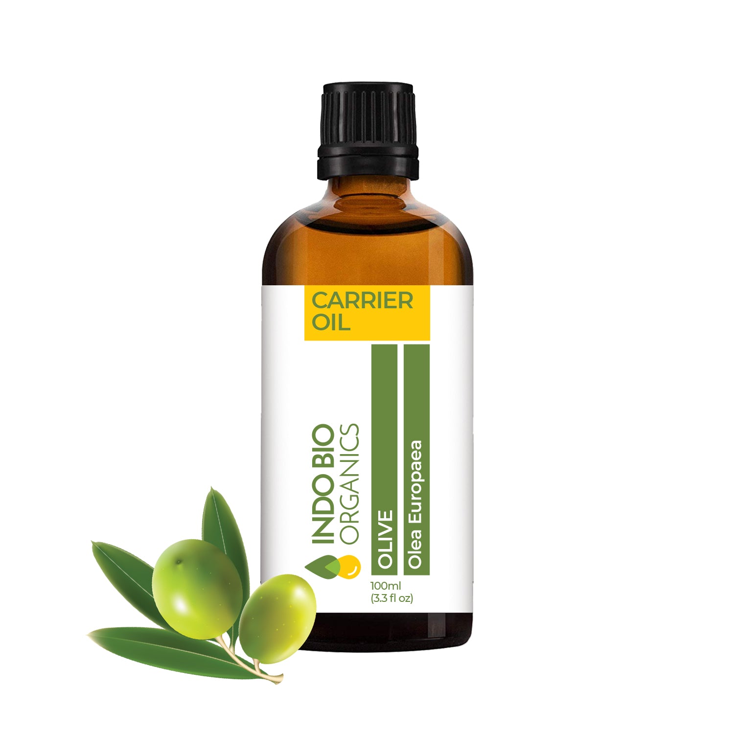 Olive Carrier Oil