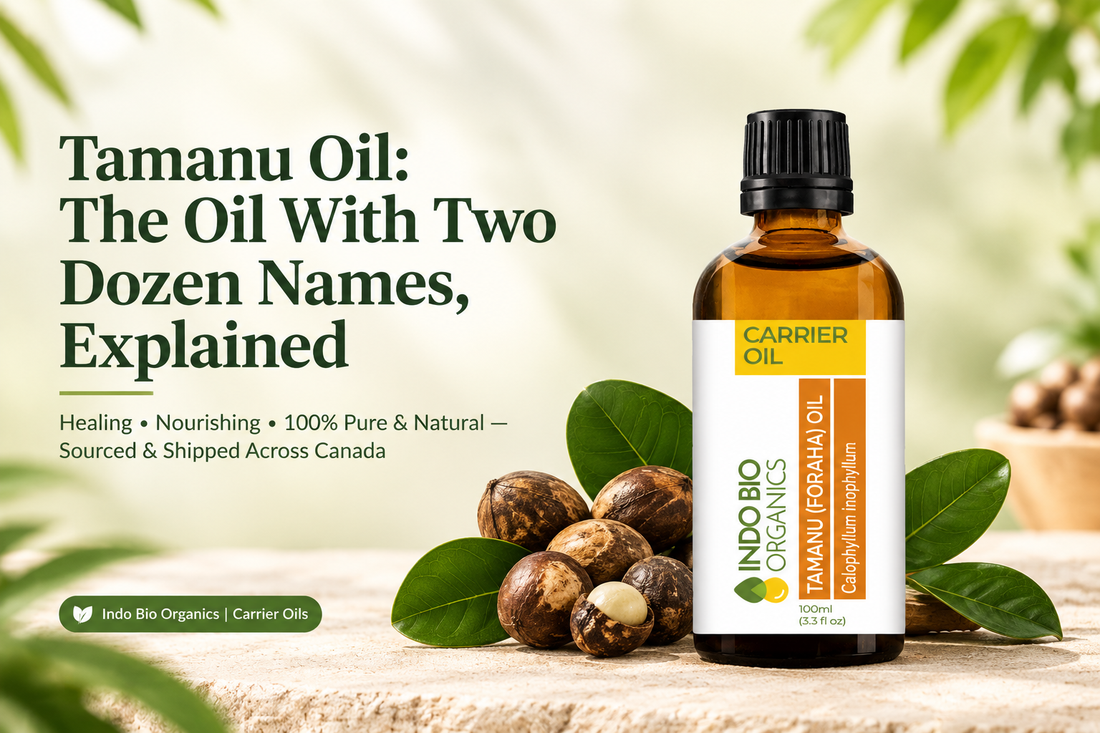 Tamanu Oil: The Oil With Two Dozen Names, Explained