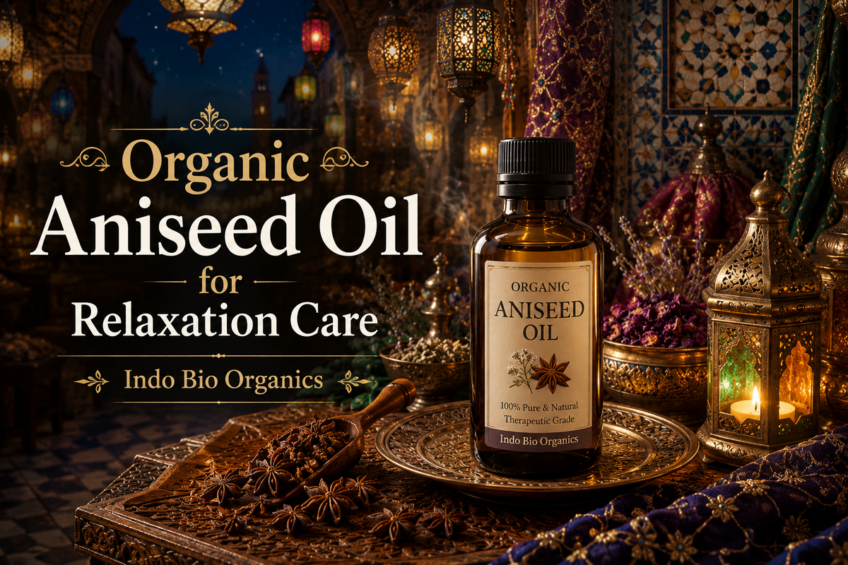 Organic Aniseed Oil for Relaxation Care