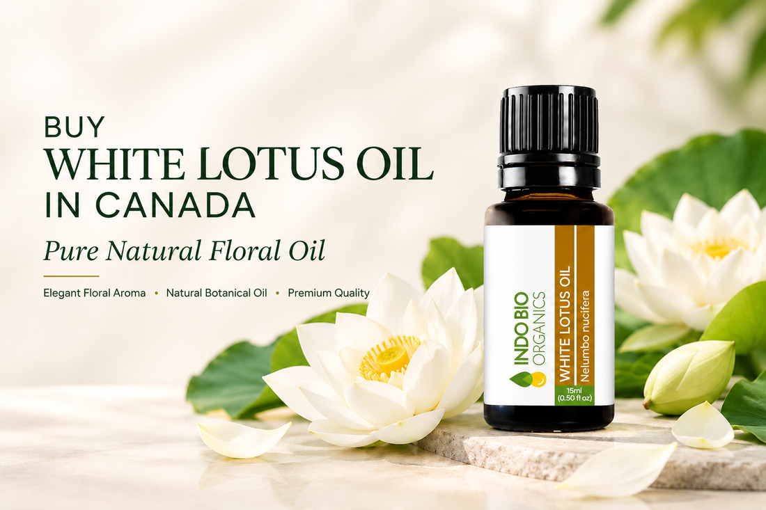 Buy White Lotus Oil in Canada | Pure Natural Floral Oil
