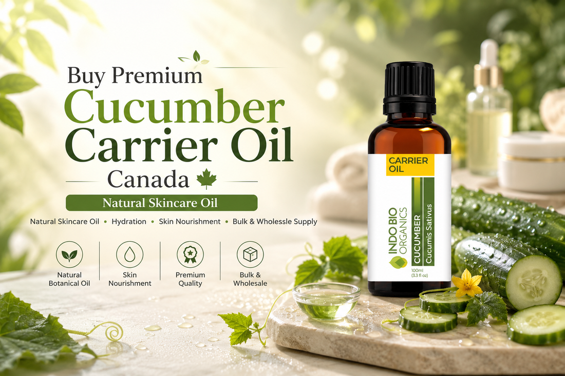 Buy Premium Cucumber Carrier Oil Canada | Natural Skincare Oil
