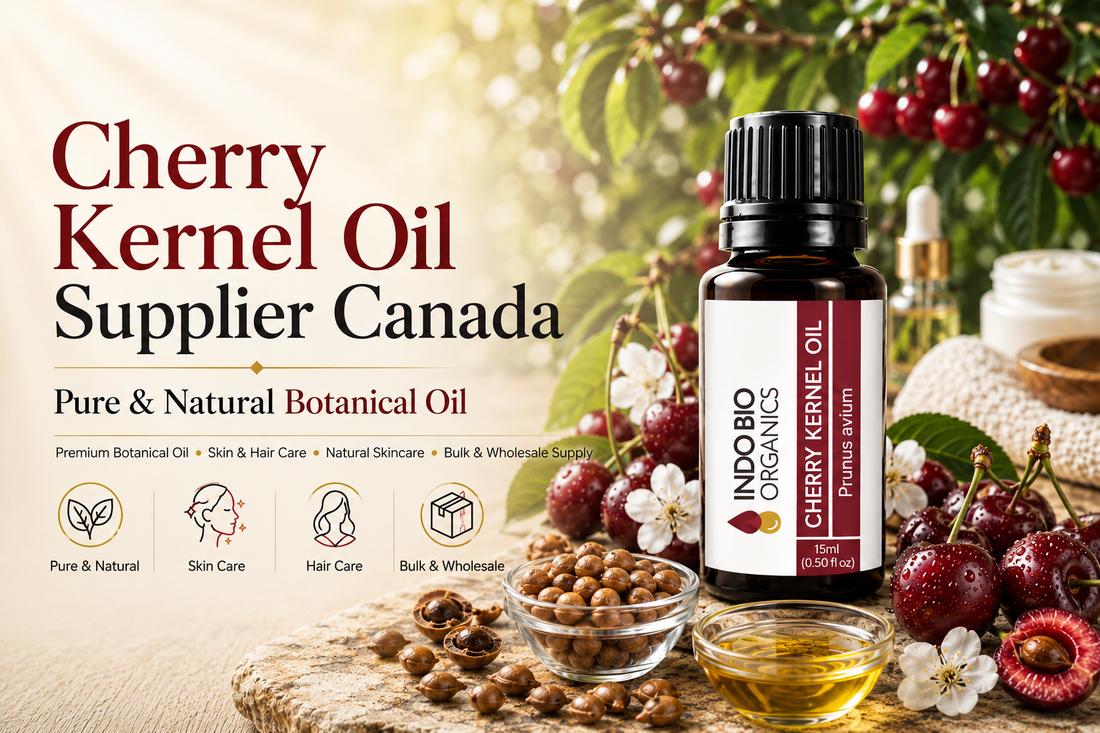 Cherry Kernel Oil Supplier Canada | Pure & Natural Botanical Oil