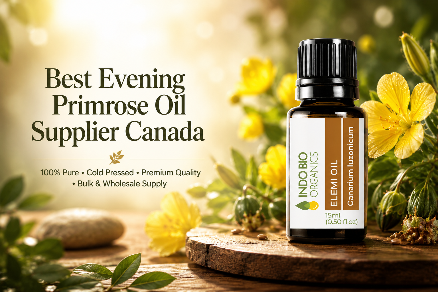 Best Evening Primrose Oil Supplier Canada | Premium & Pure Carrier Oil