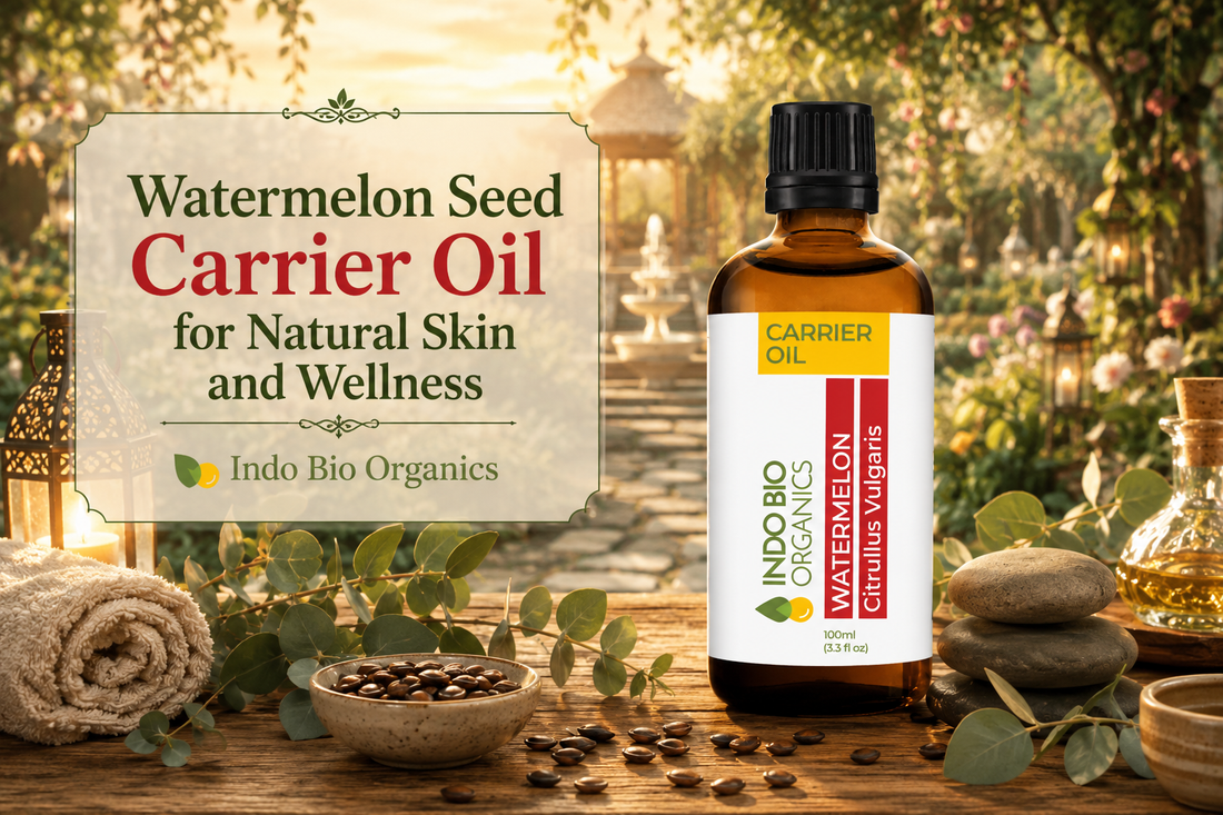 Watermelon Seed Carrier Oil for Natural Skin and Wellness