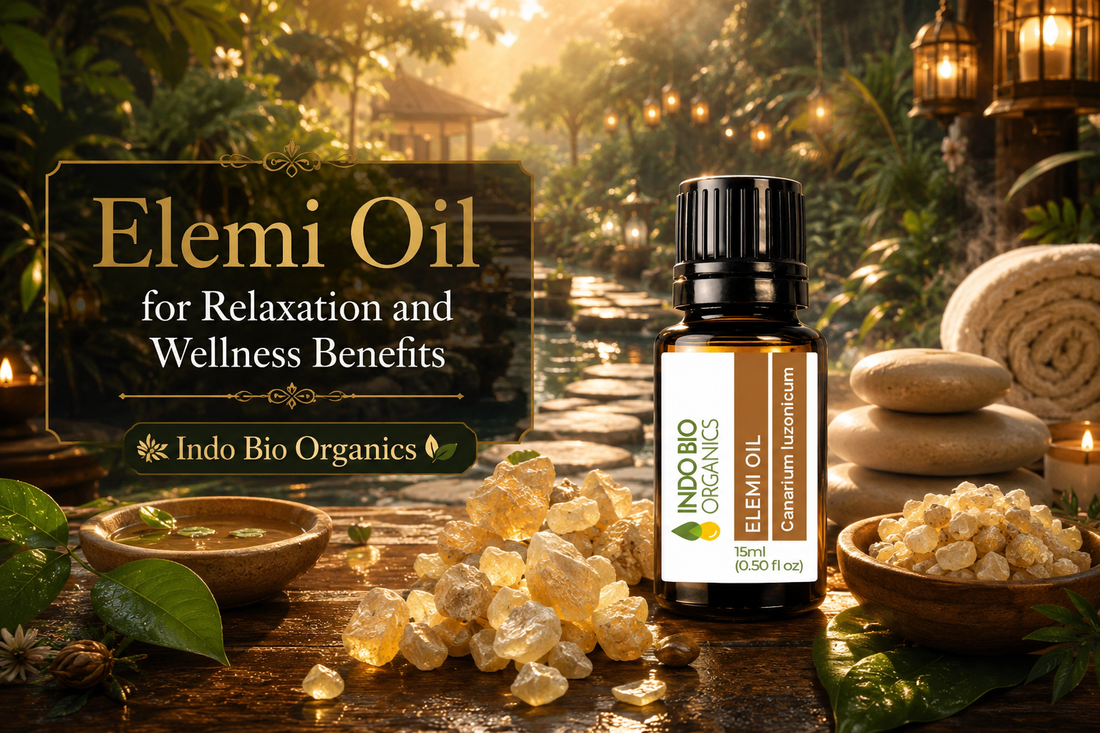Elemi Oil for Relaxation and Wellness Benefits