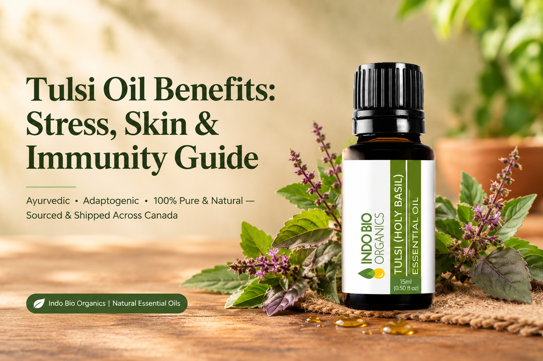 Tulsi Oil Benefits: Stress, Skin & Immunity Guide