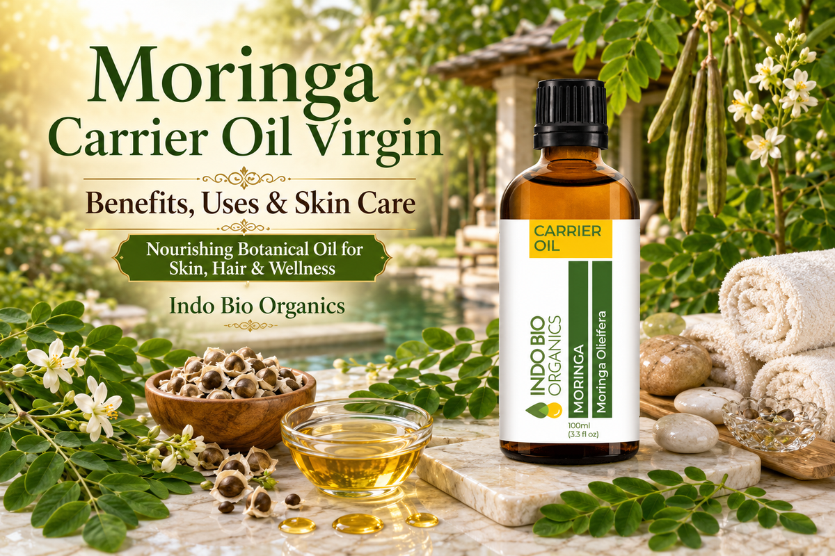 Moringa Carrier Oil Virgin: Benefits, Uses & Skin Care