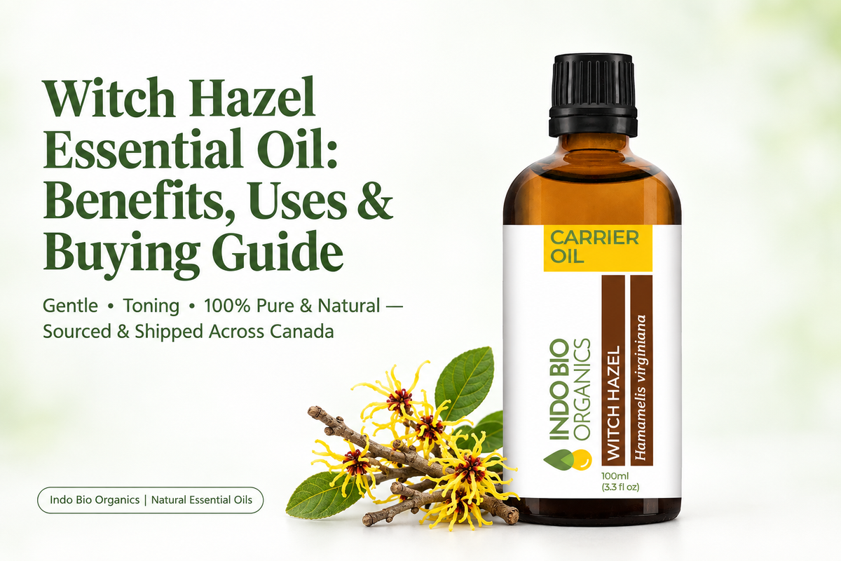 Witch Hazel Essential Oil: Benefits, Uses & Buying Guide