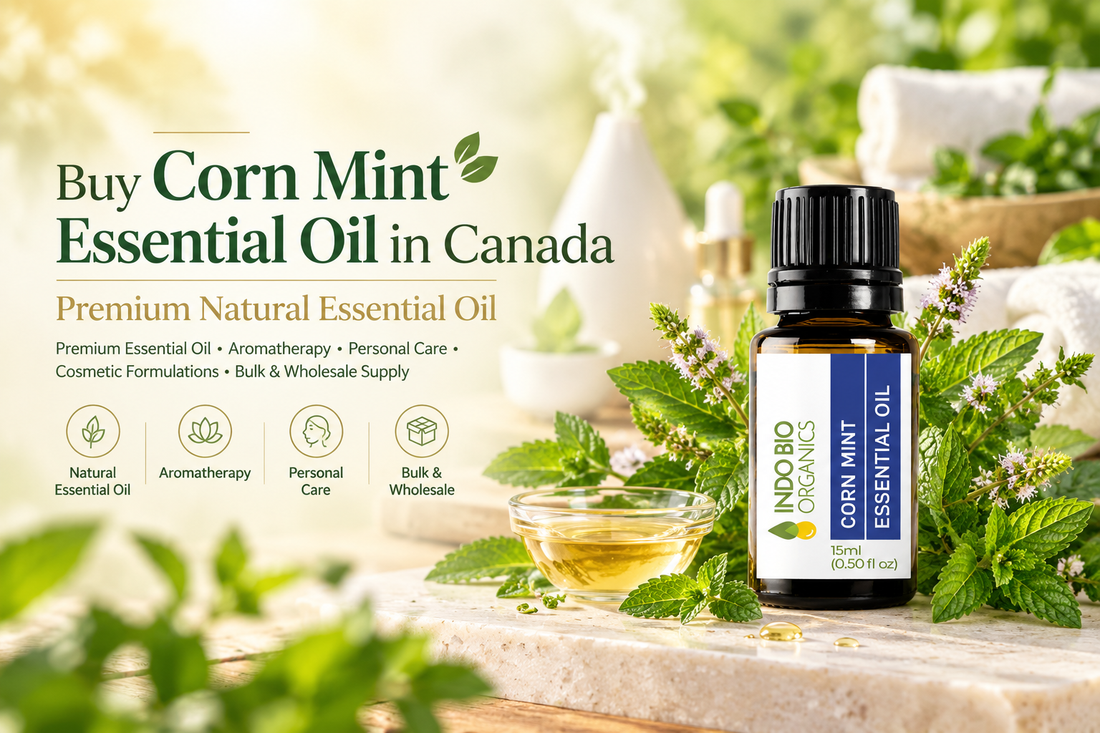 Buy Corn Mint Essential Oil in Canada | Pure Natural Essential Oil