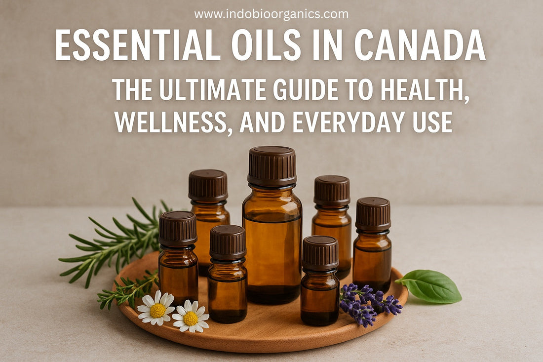 Essential Oils in Canada  The Ultimate Guide to Health, Wellness, and Everyday Use