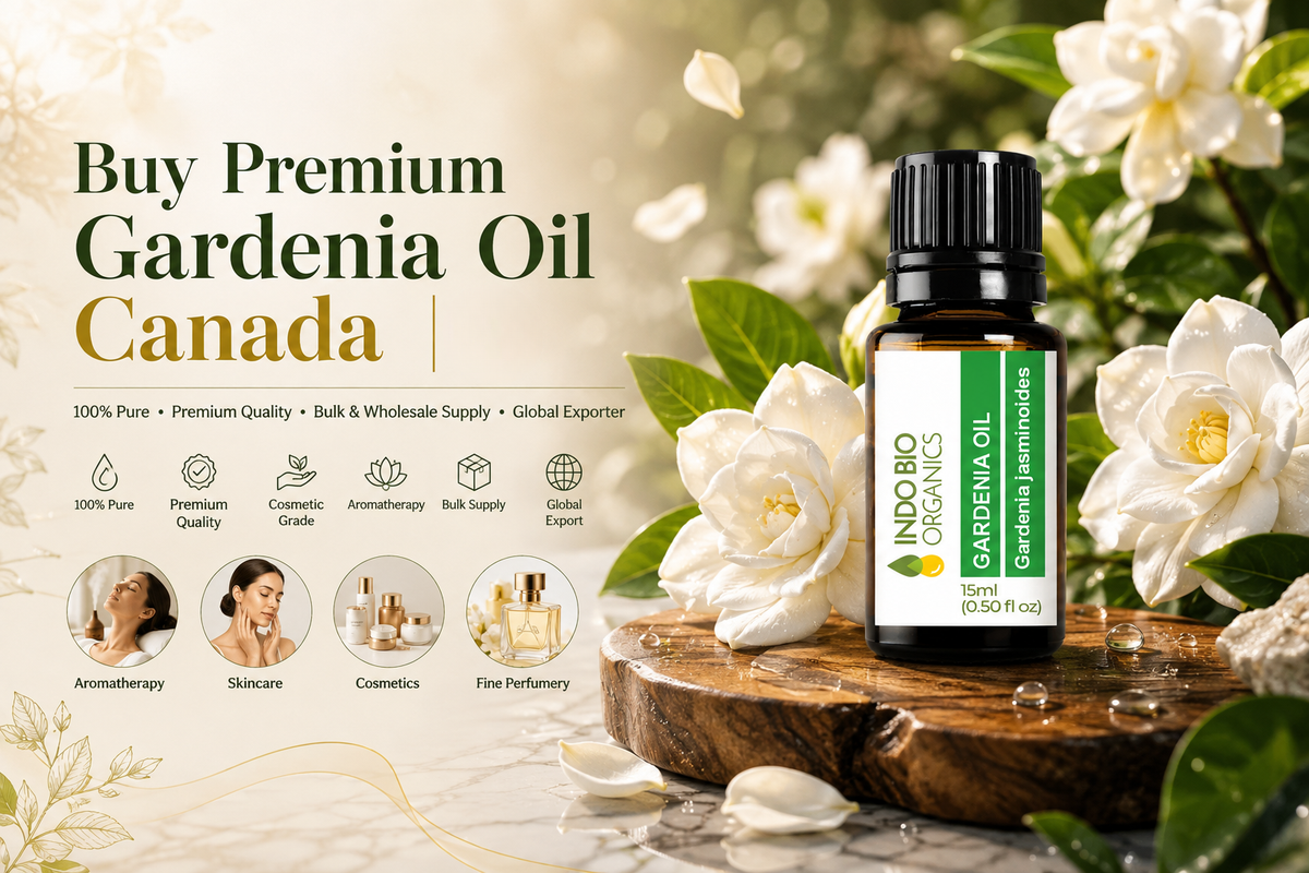 Buy Premium Gardenia Oil Canada | Trusted Supplier