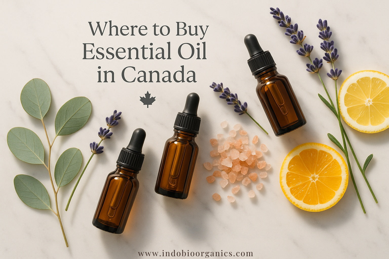 Where Can I Buy Essential Oil in Canada ?