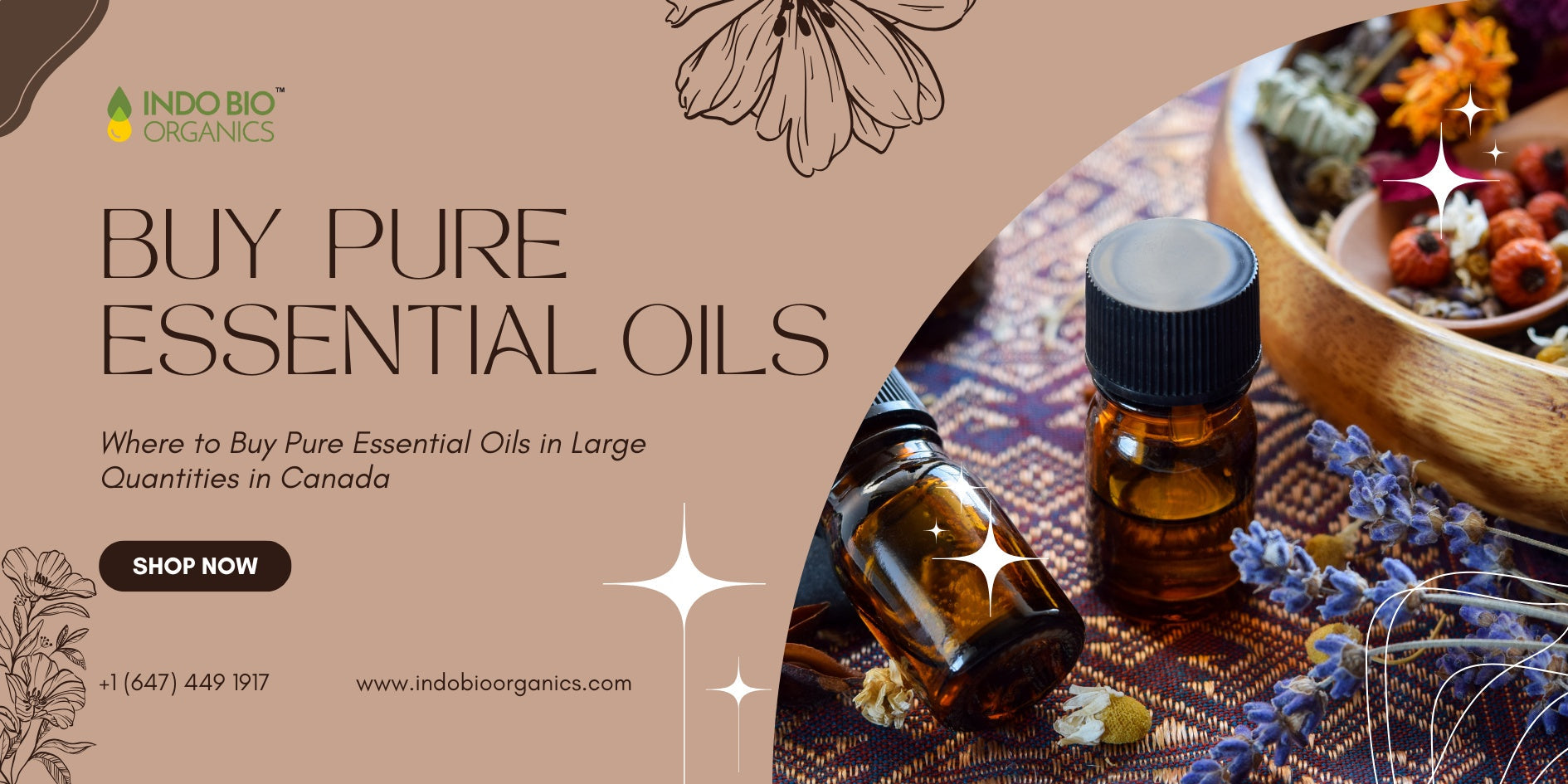 Where to Buy Pure Essential Oils in Large Quantities in Canada