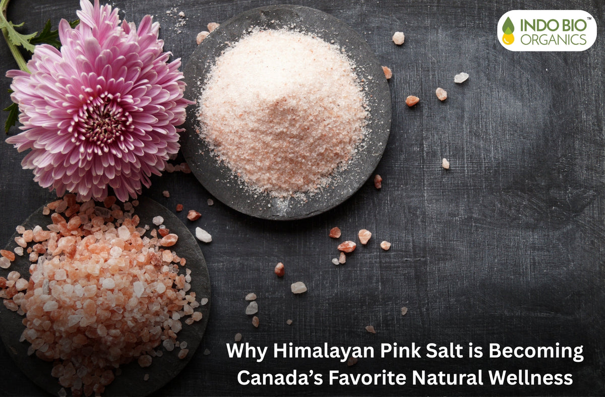 Pink Salt Composition Why Himalayan Pink Salt is Becoming Canada’s Favorite Natural Wellness ...