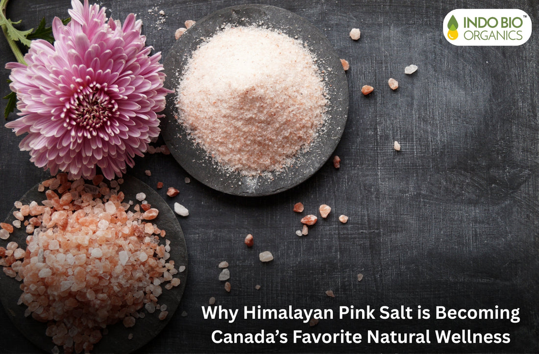 Why Himalayan Pink Salt is Becoming Canada’s Favorite Natural Wellness Essential