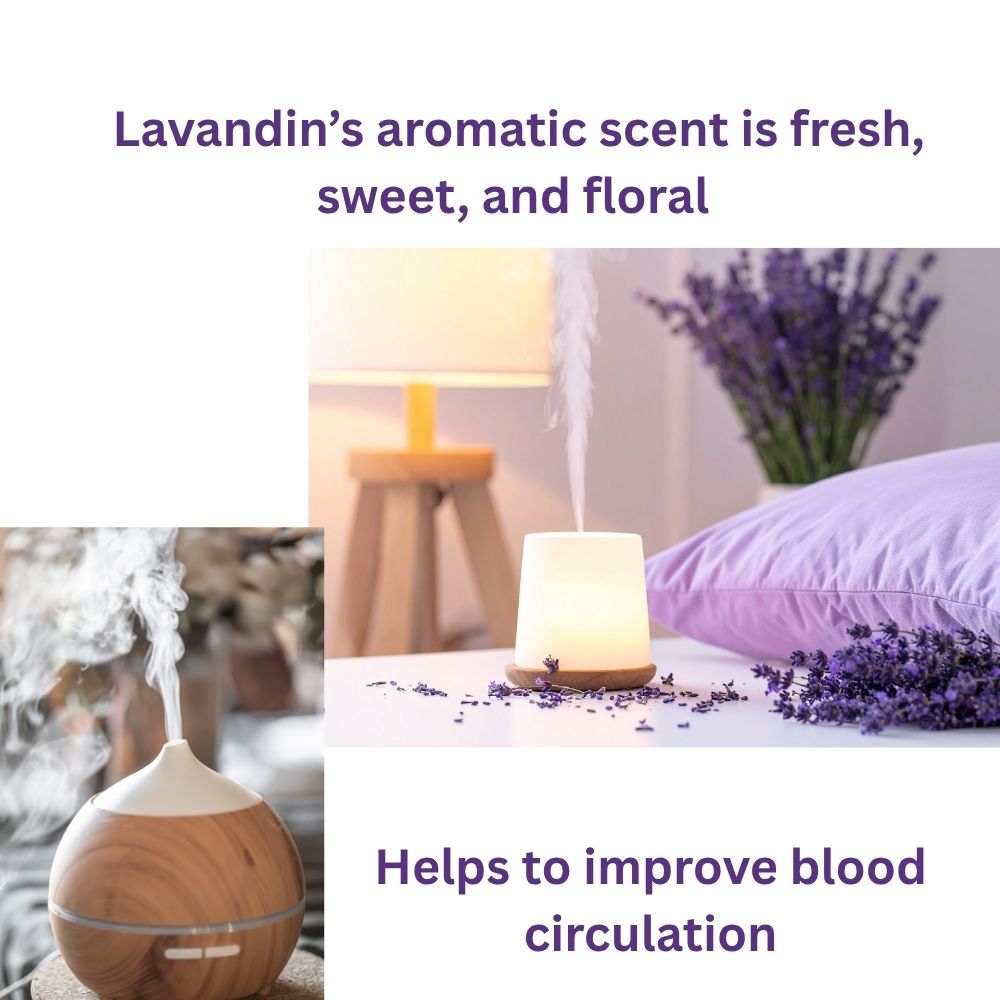 Lavandin Oil