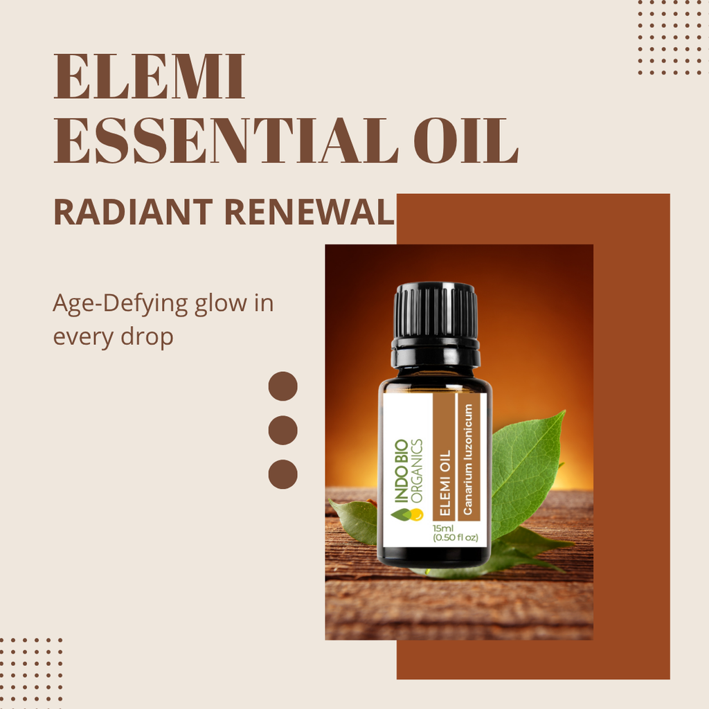 Elemi Oil