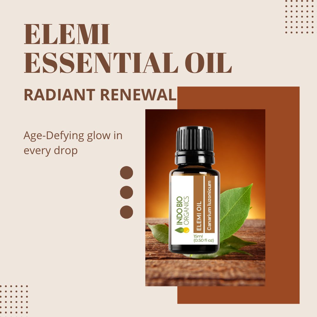 Elemi Oil