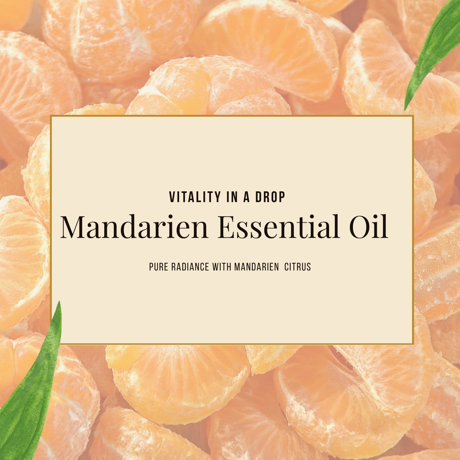 Mandarine Oil