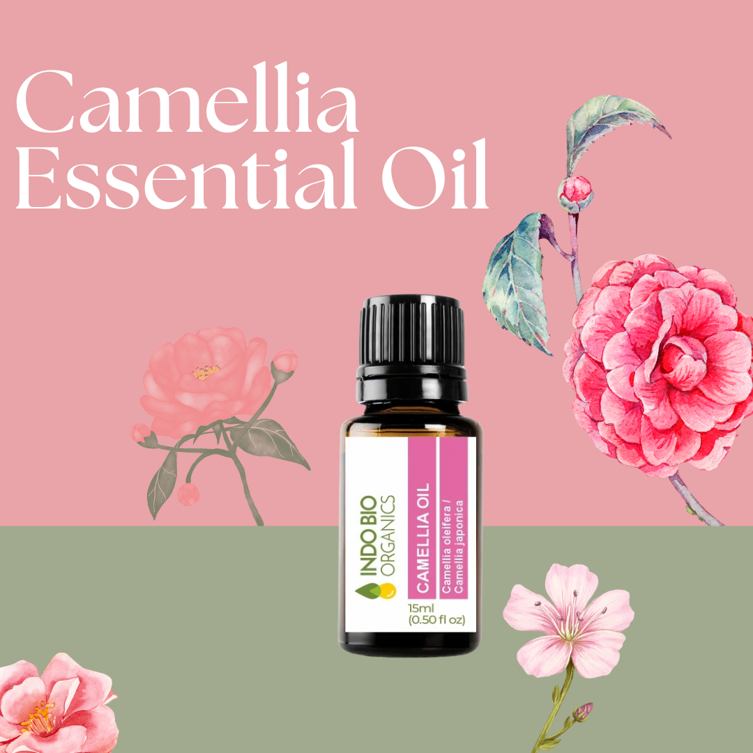 Camellia Oil
