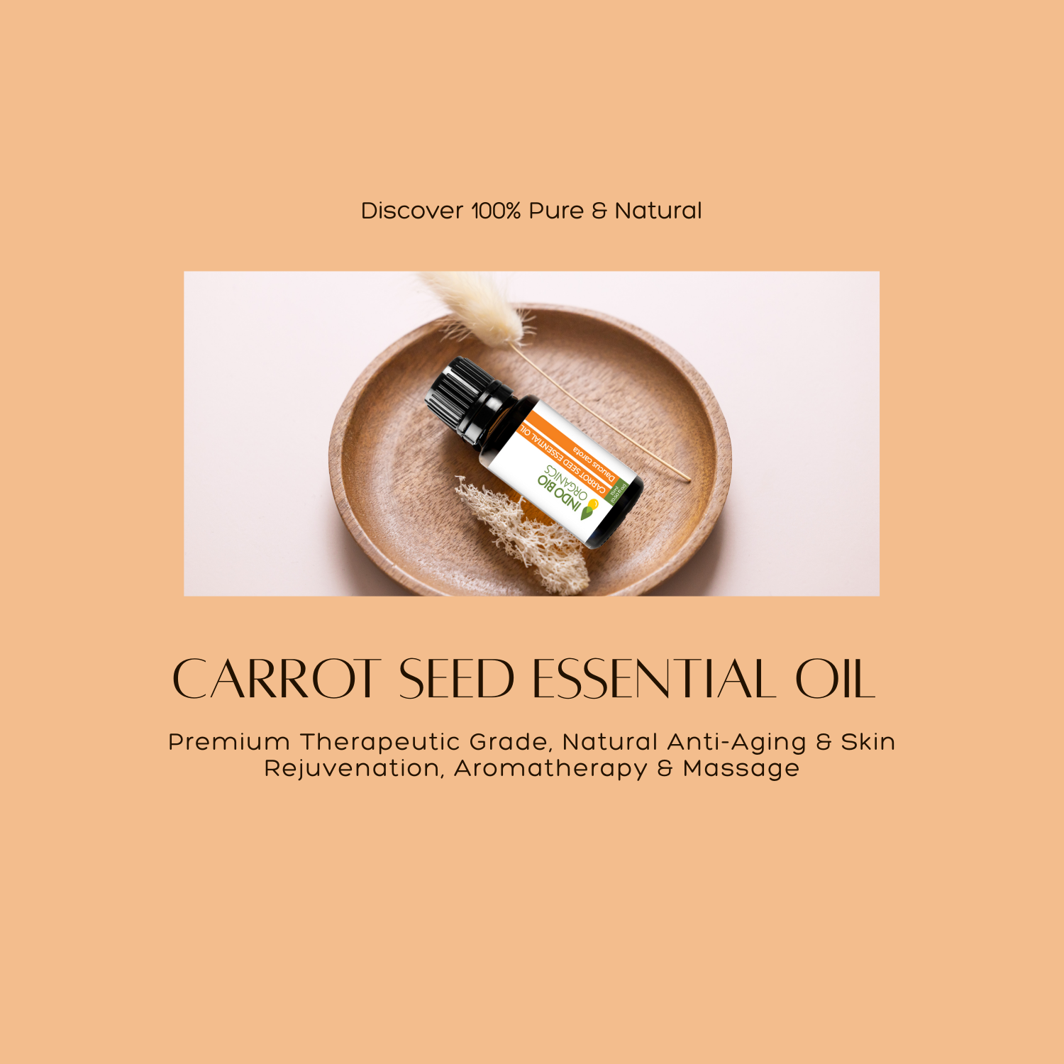 Carrot Seed Essential Oil
