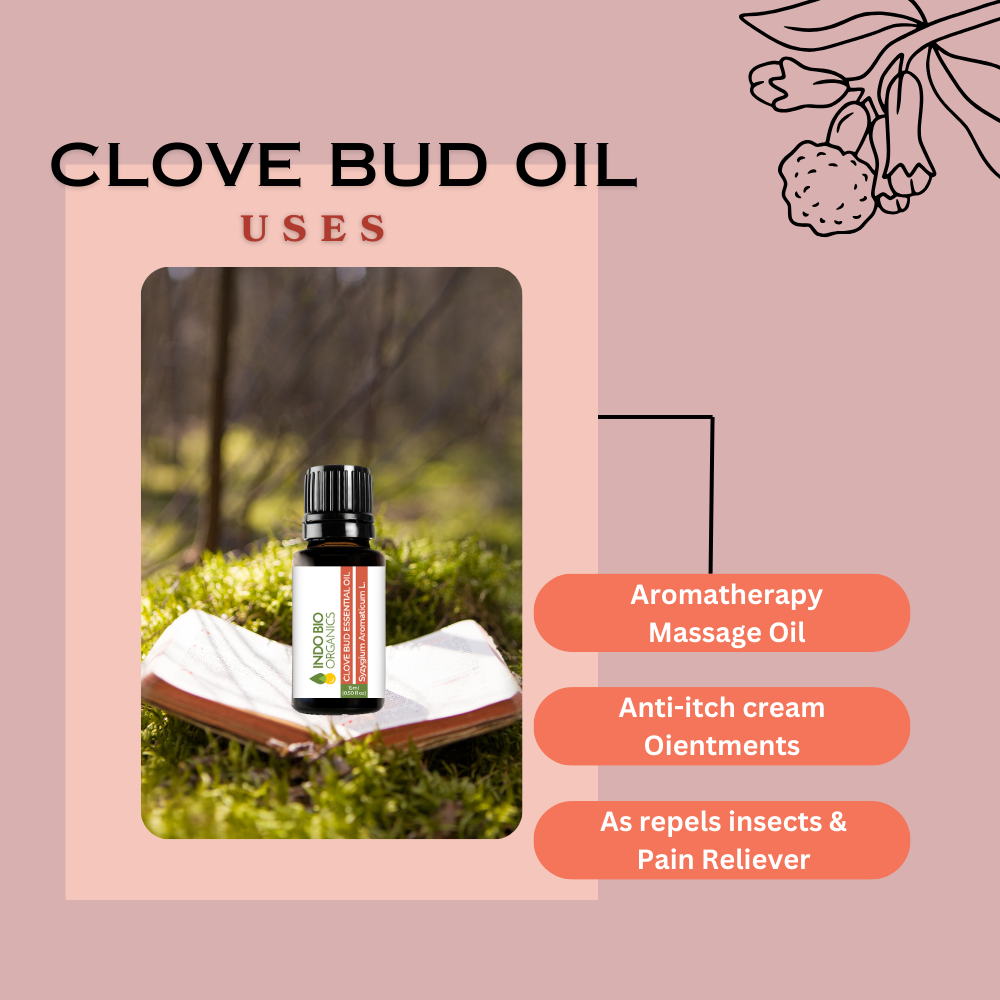 Clove Bud Essential Oil