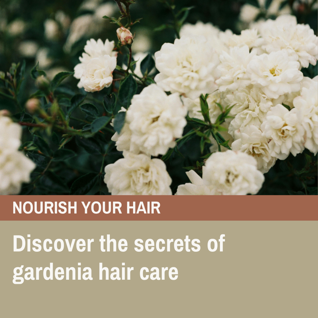 Gardenia Oil