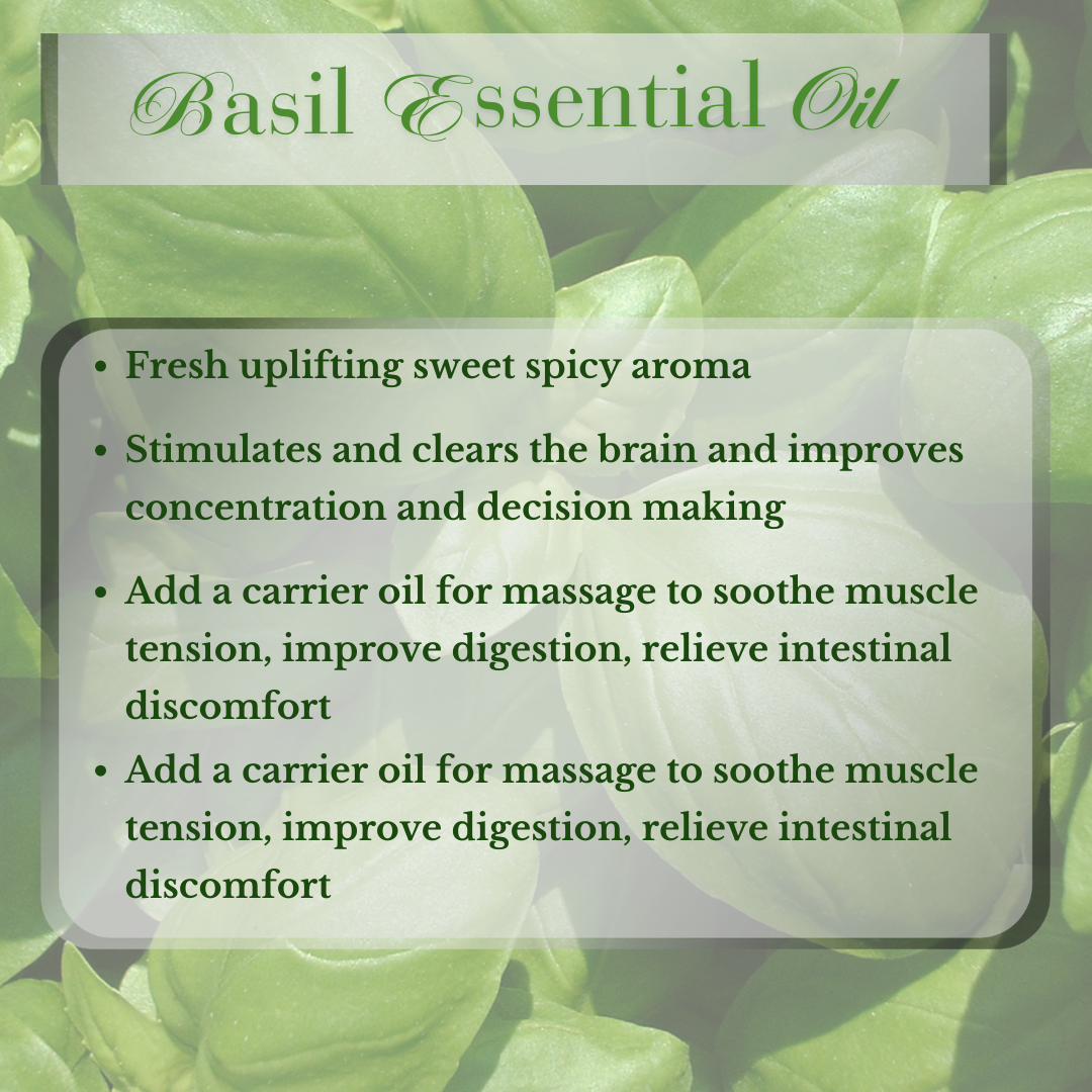 Basil Essential Oil Sweet