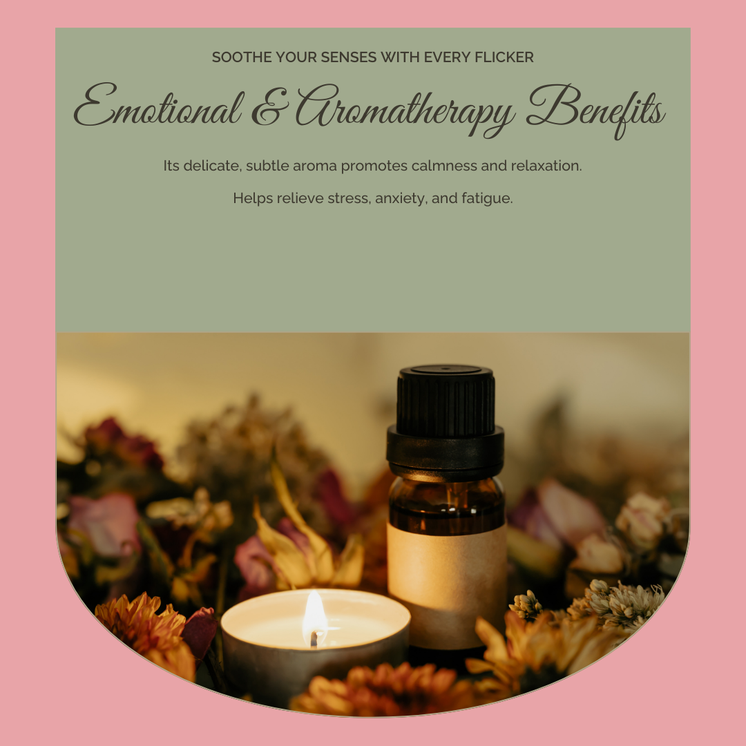 Camellia Oil