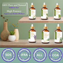 Load image into Gallery viewer, Pure Tea Tree Essential Oil - 100% Natural, Therapeutic Grade Oil for Skin and Hair Care