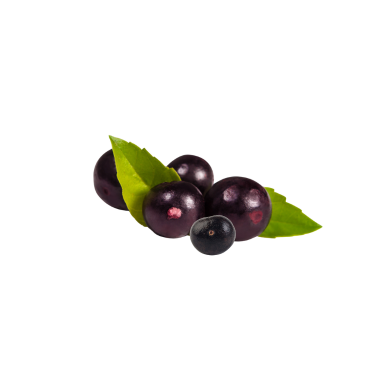ACAI BERRY OIL