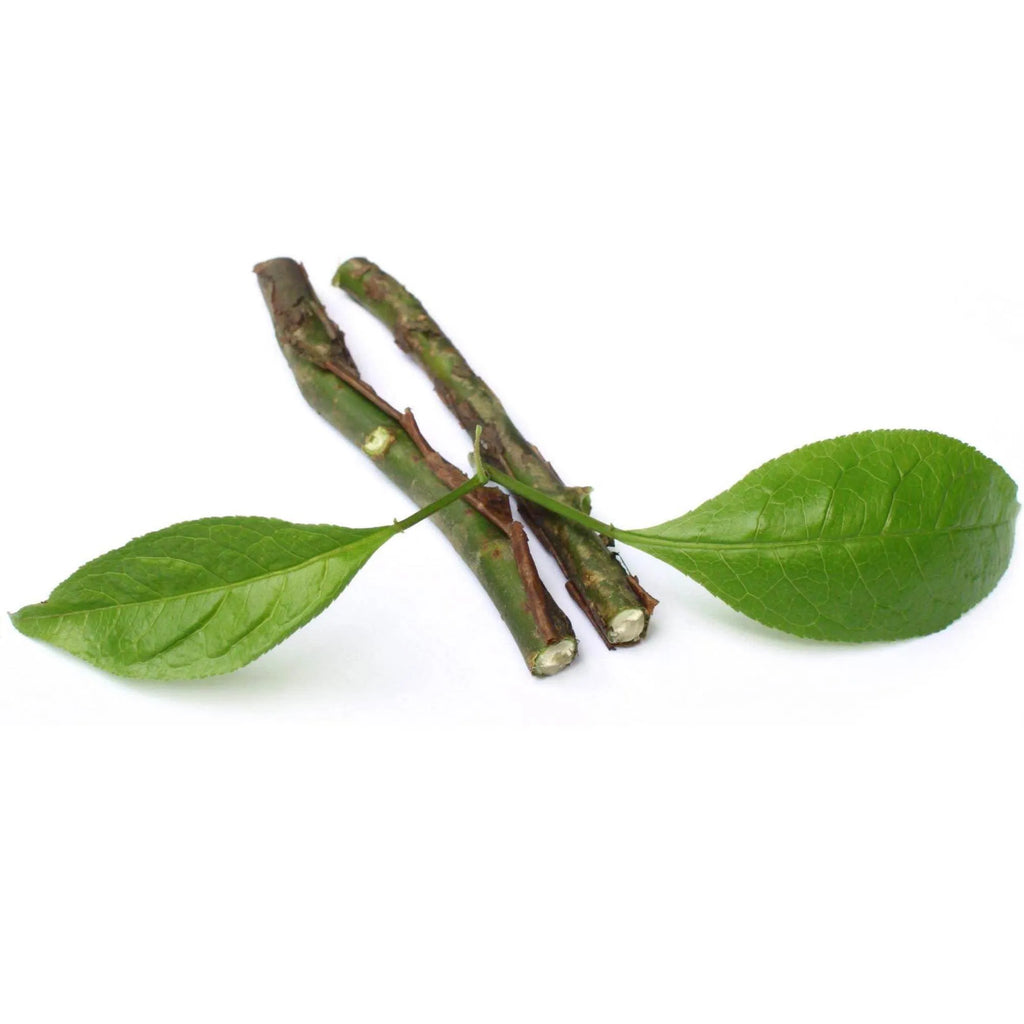 AMYRIS ESSENTIAL OIL