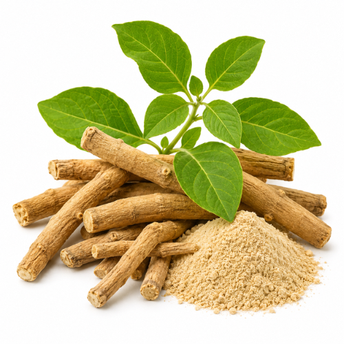 ASHWAGANDHA OIL