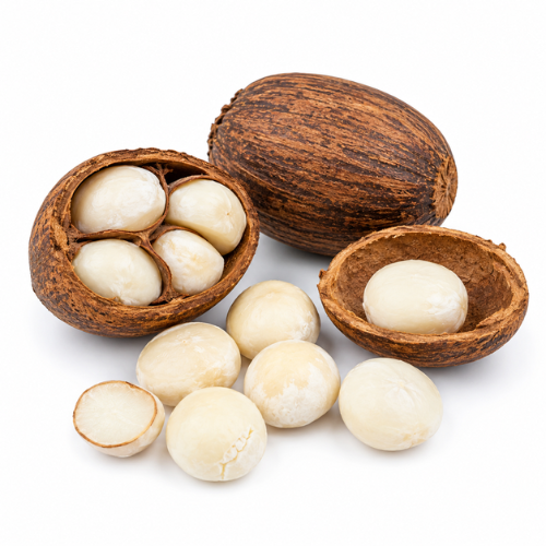 BABASSU OIL