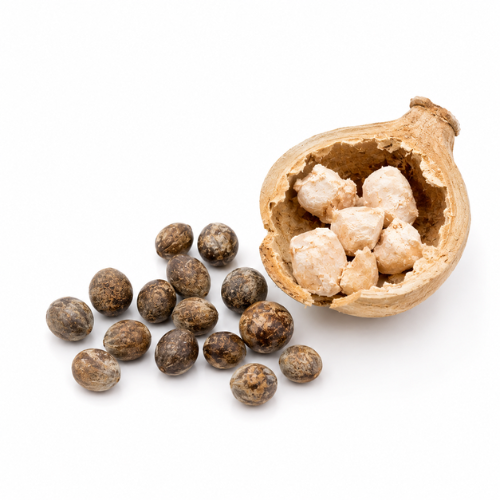 BAOBAB OIL