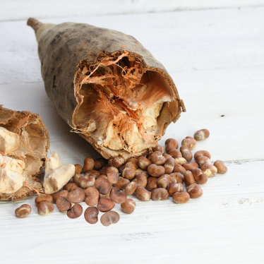 BAOBAB OIL