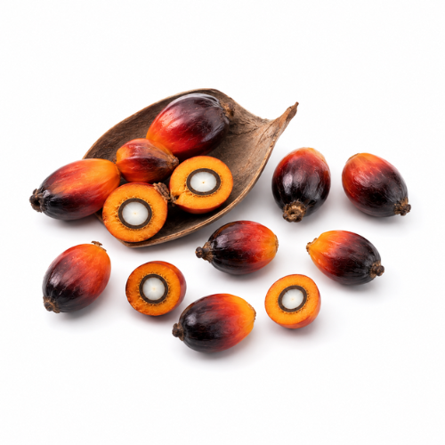 BATANA OIL