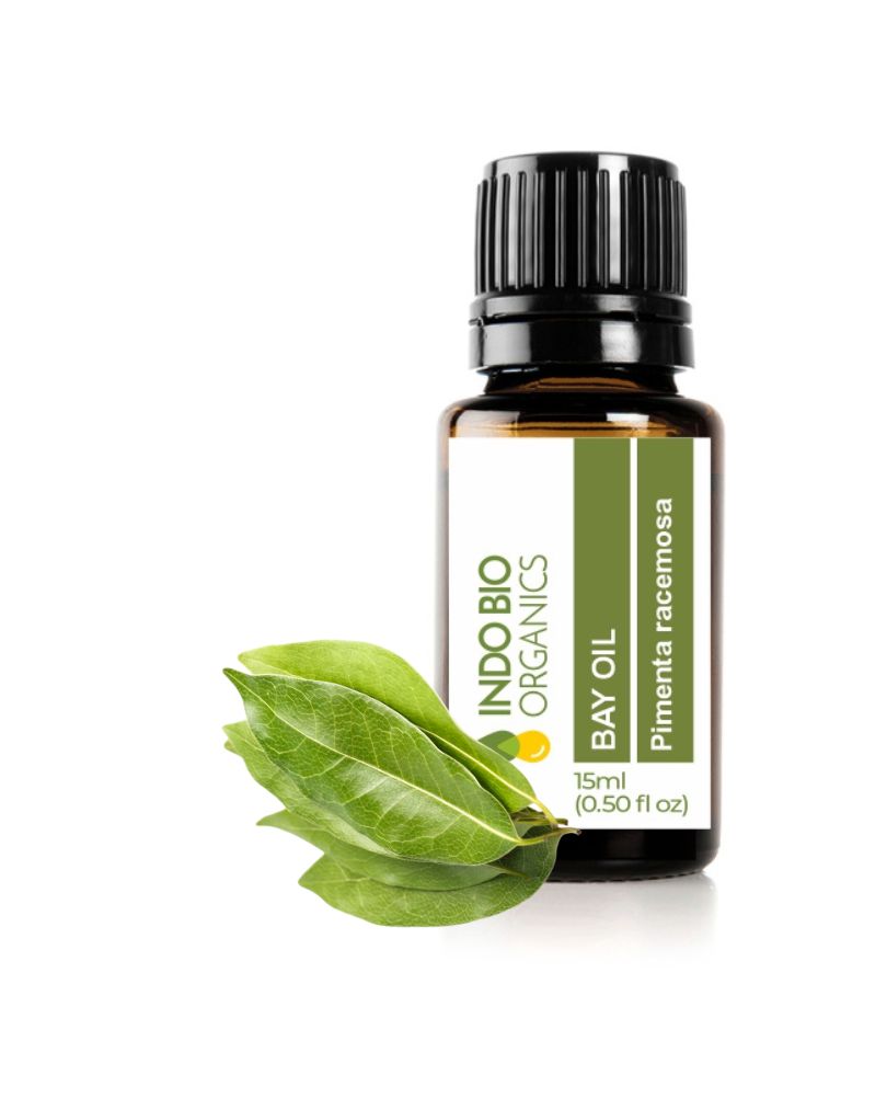 Bay Oil
