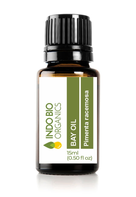 Bay Oil