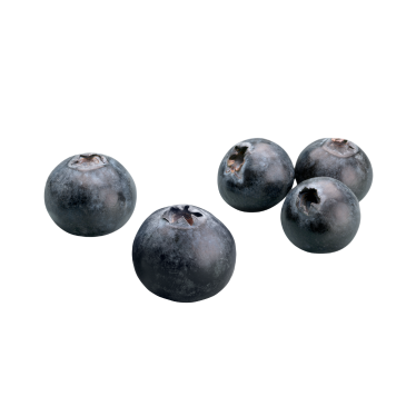 BLUEBERRY SEED OIL