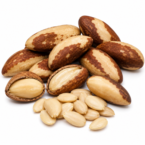 BRAZIL NUT OIL