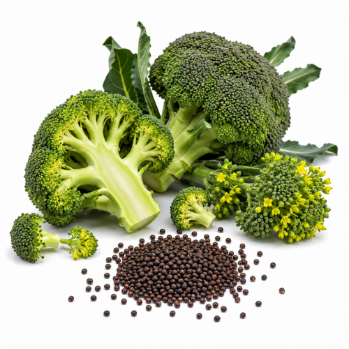 BROCCOLI SEED OIL