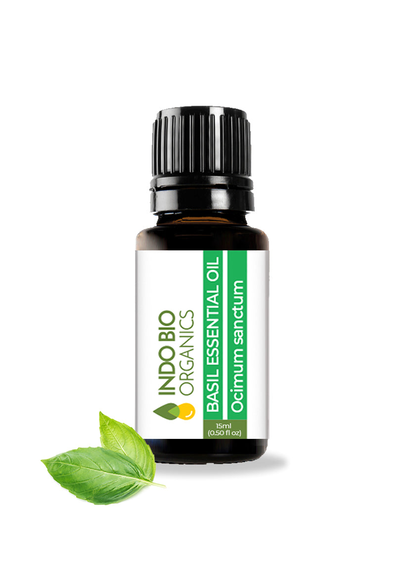 Basil Essential Oil Holy