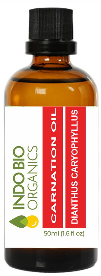 Carnation Oil