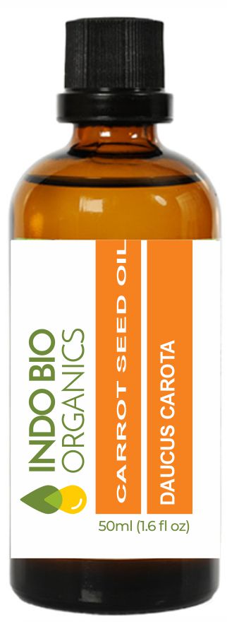 Carrot Seed  Oil