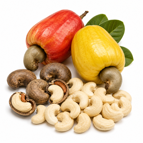 CASHEW NUT OIL