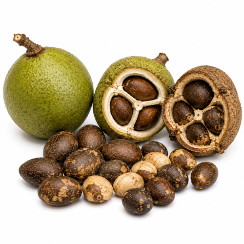 CHAULMOOGRA OIL